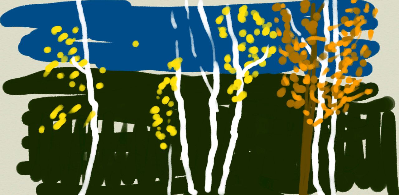 Bouleaux ds la campagne québécoise / Canada / 2014