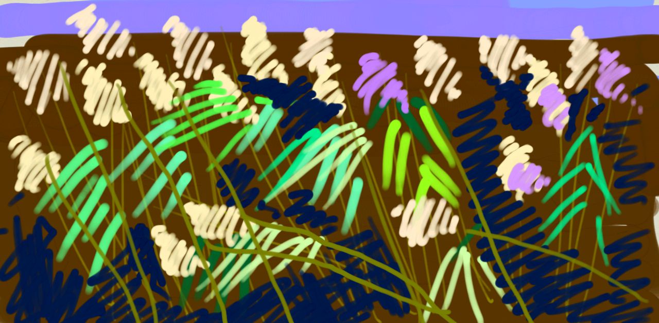 Les roseaux #1 / Canada / 2014