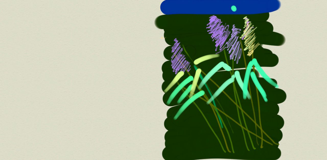 Roseaux #2 /Canada / 2014